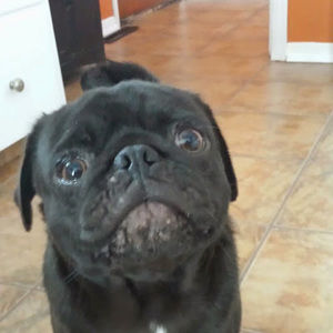 Meet your Posher, Lynn